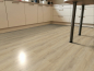 Preview: Bergeiche Natur - 026015066 Preview: Bergeiche Natur - 026015066
