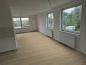 Preview: Bergeiche Natur - 026015066 Preview: Bergeiche Natur - 026015066